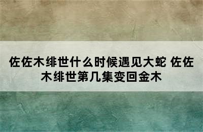 佐佐木绯世什么时候遇见大蛇 佐佐木绯世第几集变回金木